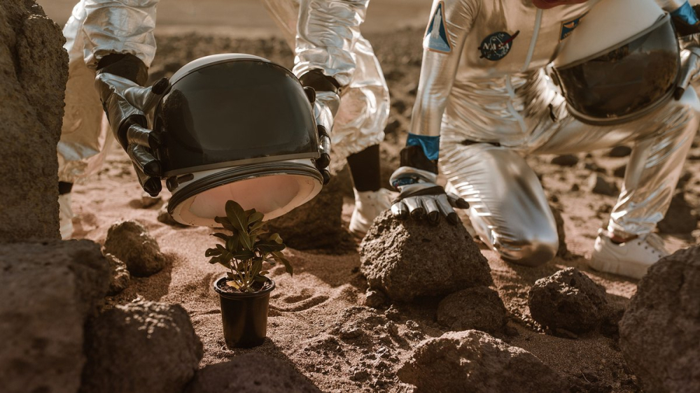 火星土壤类型分布示意