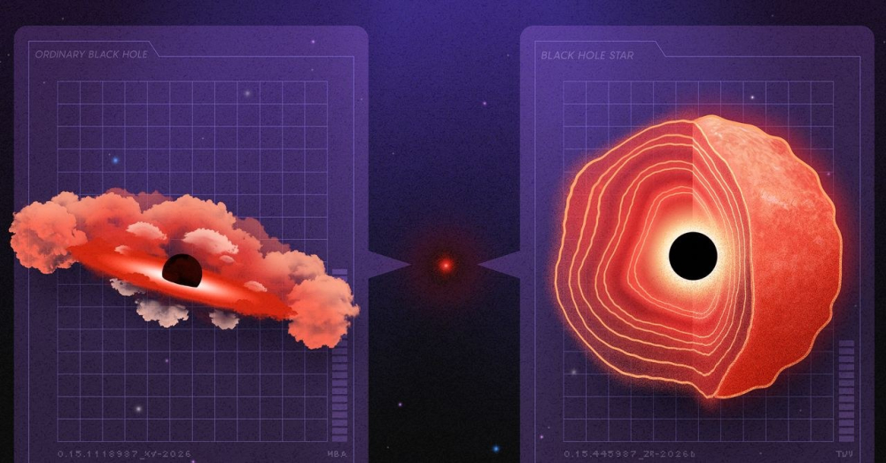 韦布望远镜拍到的小红点 或是黑洞恒星
